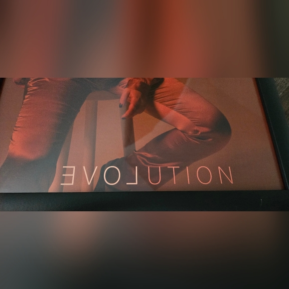 Sabrina Carpenter Evolution Poster ~20x14 - Picture 7 of 8